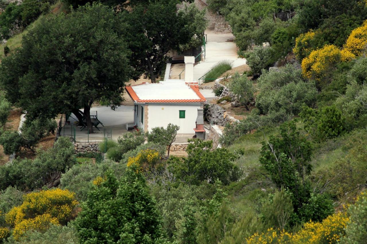 Villa " Davorka" Podgora Exterior photo