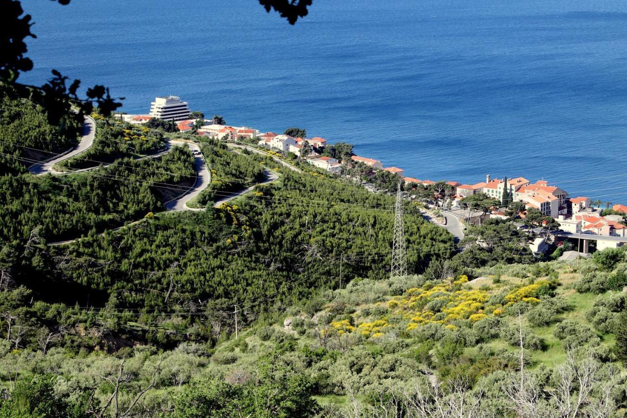 Villa " Davorka" Podgora Exterior photo