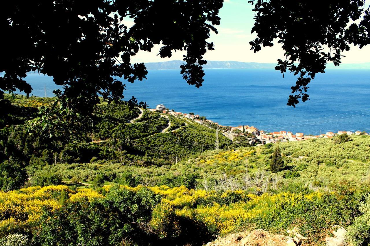 Villa " Davorka" Podgora Exterior photo