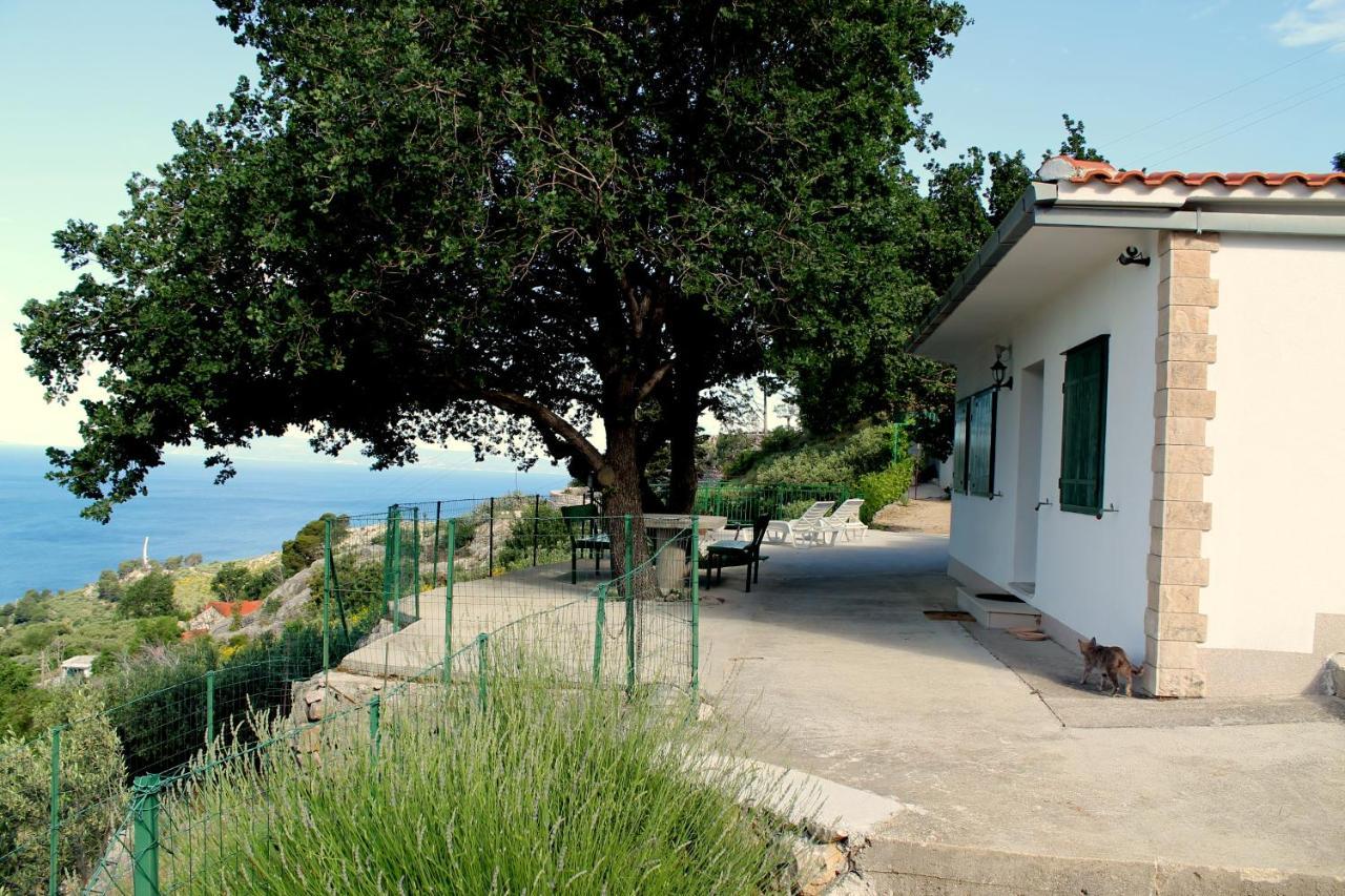 Villa " Davorka" Podgora Exterior photo