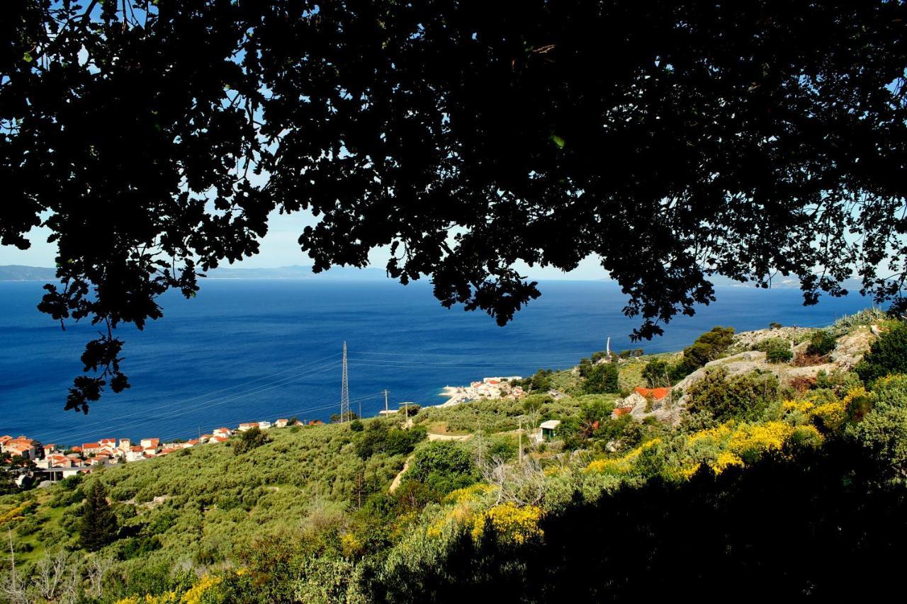 Villa " Davorka" Podgora Exterior photo
