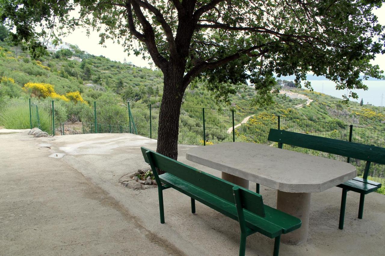 Villa " Davorka" Podgora Exterior photo