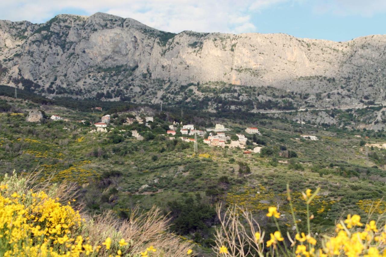 Villa " Davorka" Podgora Exterior photo