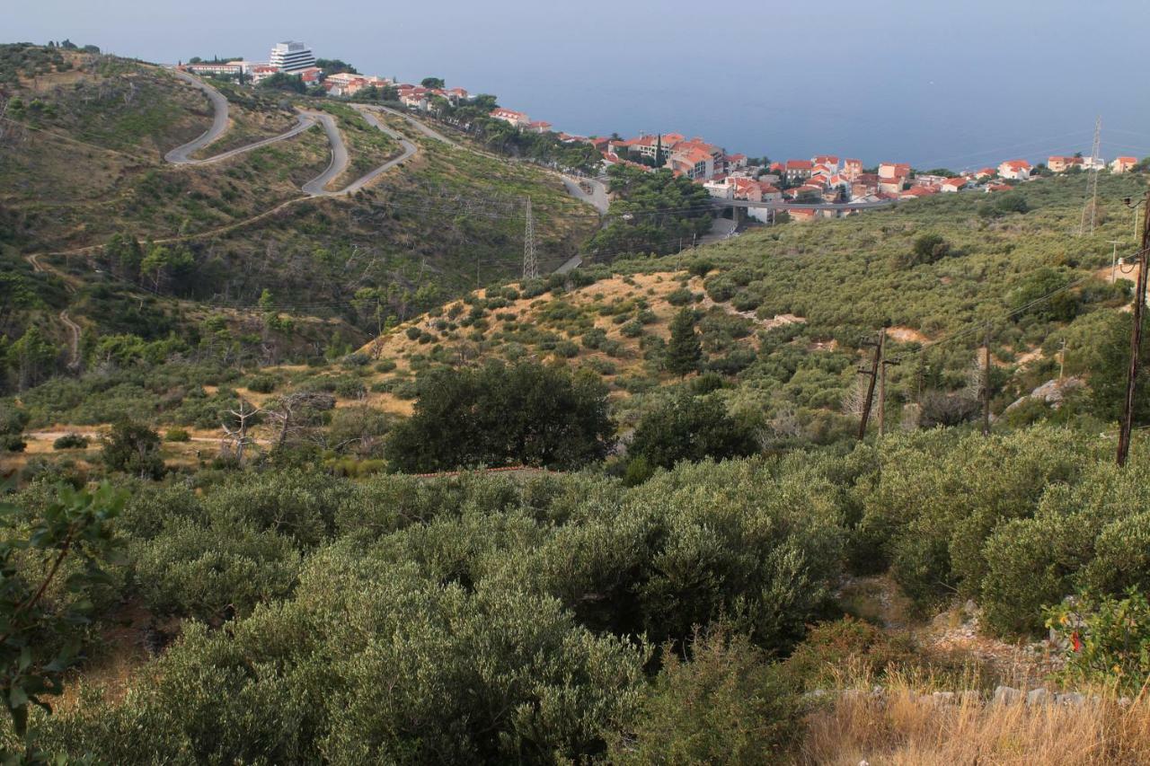 Villa " Davorka" Podgora Exterior photo