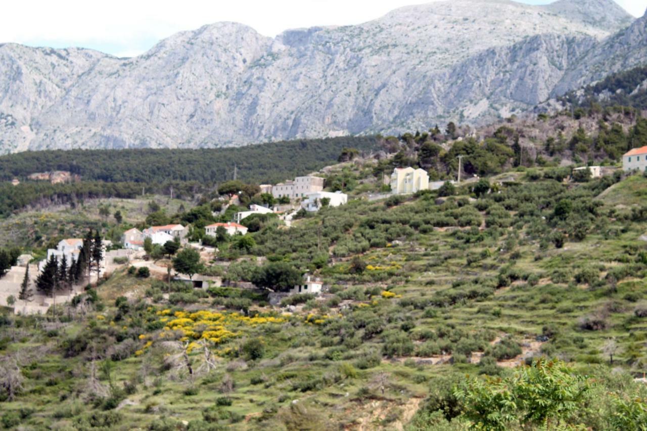 Villa " Davorka" Podgora Exterior photo