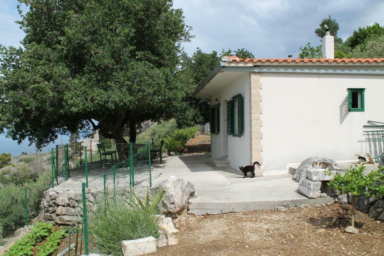 Villa " Davorka" Podgora Exterior photo