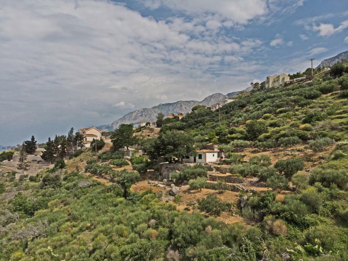 Villa " Davorka" Podgora Exterior photo